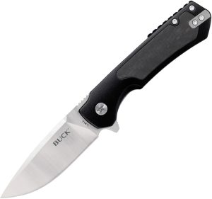 Buck Stinger Framelock Black (3″)