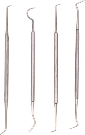 Pakistan Dental Pick Set