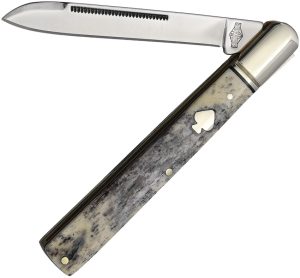 Rough Rider Black Appaloosa Doctor