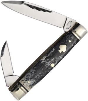 Rough Rider Black Appaloosa Capital Intern