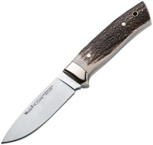 Muela Kodiak Stag